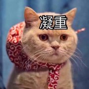 深圳配眼镜，哪些性价比高，如何挑选好一家眼镜店，这里给大家分享答疑解惑。